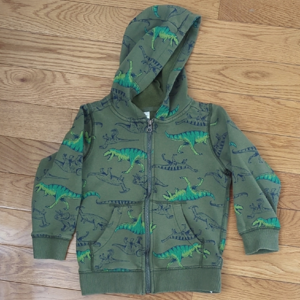 Dinosaur Hoodie